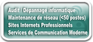 professionnels: audit / dépannage informatique, maintenance de réseau, sites internets professionnels, services de communication moderne